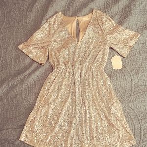 NWT Altar'd State silver sequined flutter sleeve dress